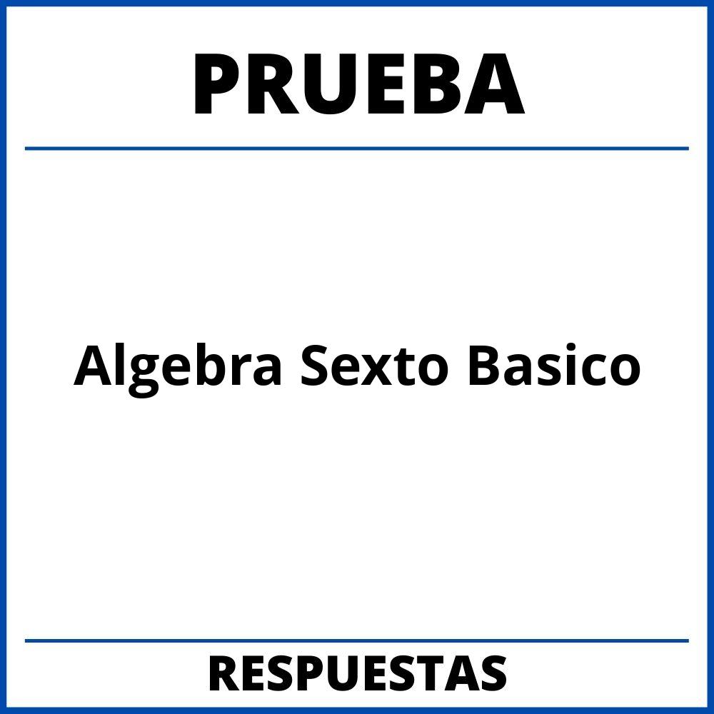 Prueba De Algebra Sexto Basico