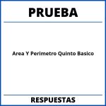 Prueba De Area Y Perimetro Quinto Basico