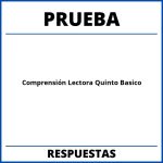 Prueba De Comprensión Lectora Quinto Basico