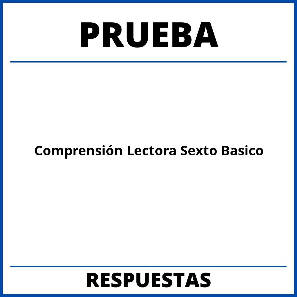 Prueba De Comprensión Lectora Sexto Basico