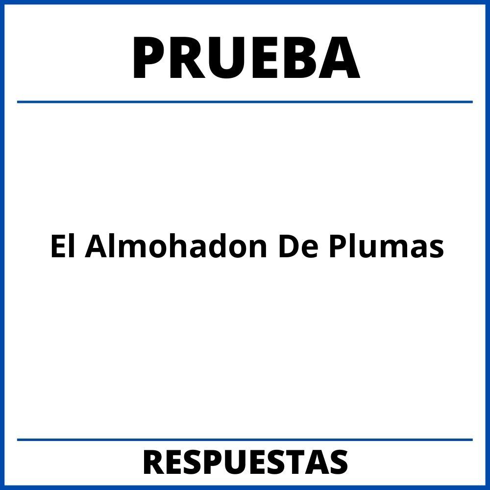 Prueba El Almohadon De Plumas