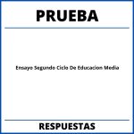 Prueba De Ensayo Segundo Ciclo De Educacion Media