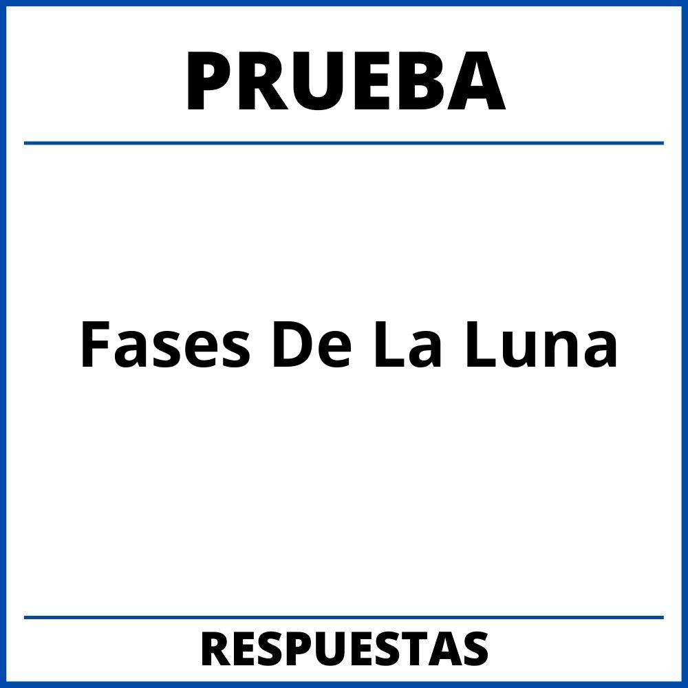 Prueba Fases De La Luna 2024