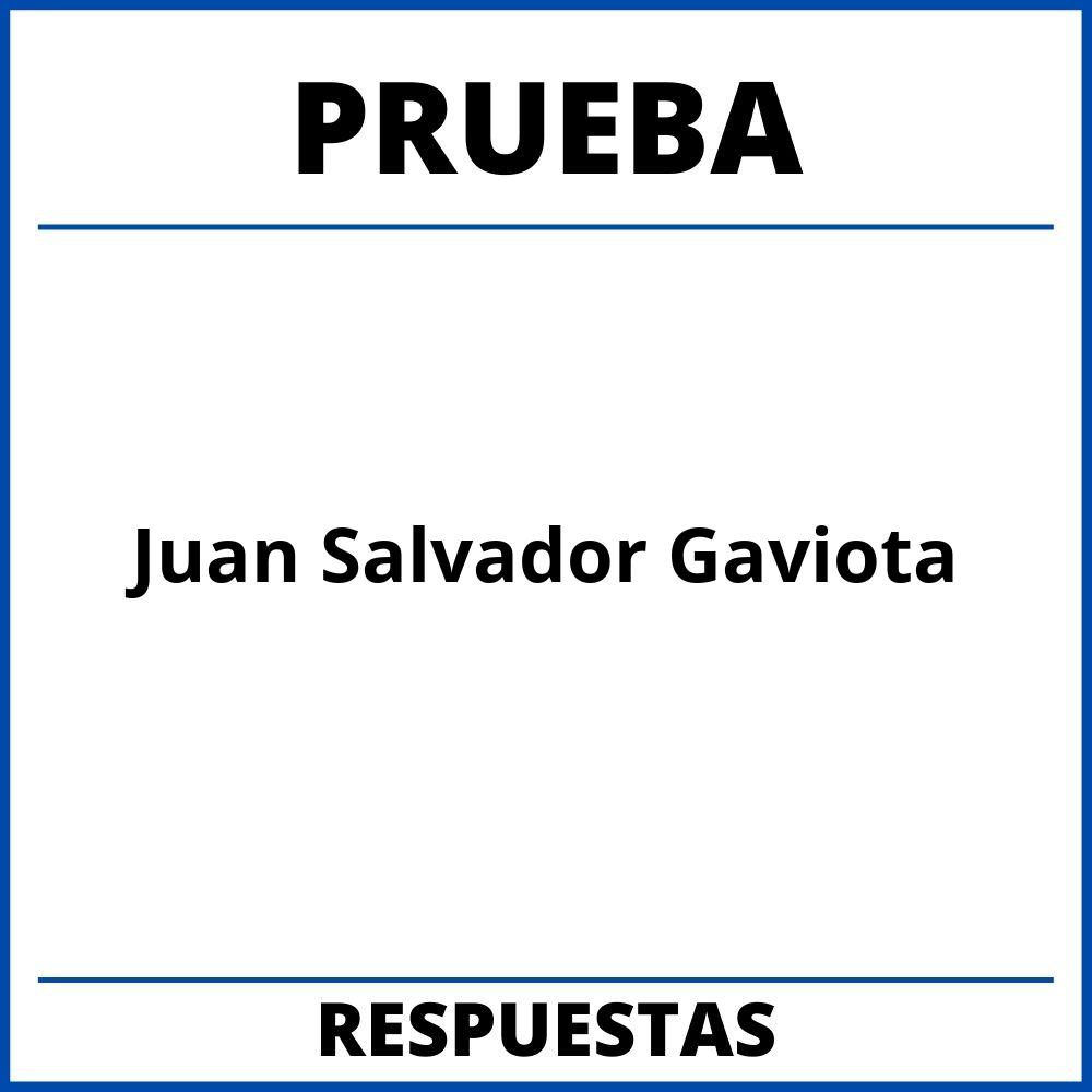 Prueba Del Libro Juan Salvador Gaviota