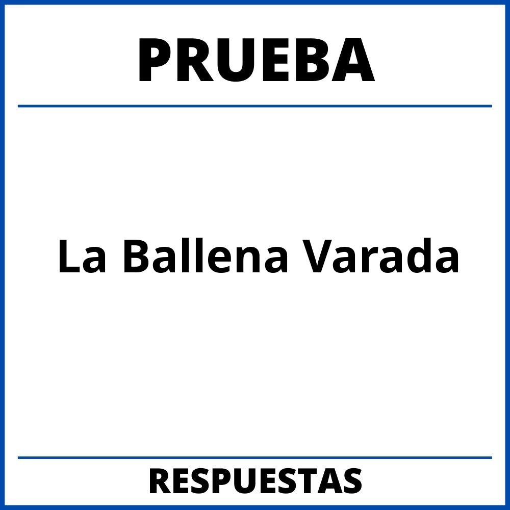 Prueba Del Libro La Ballena Varada