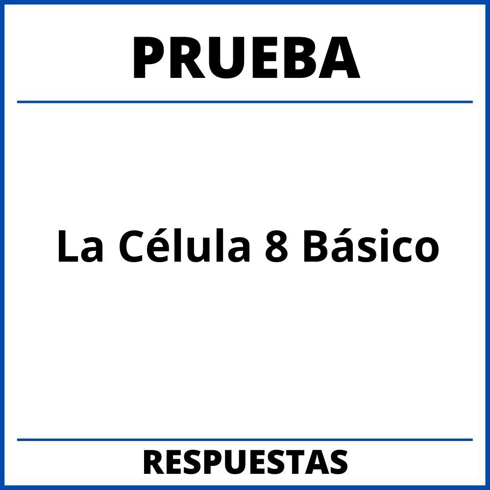 Prueba De La Célula 8 Básico Con Respuestas