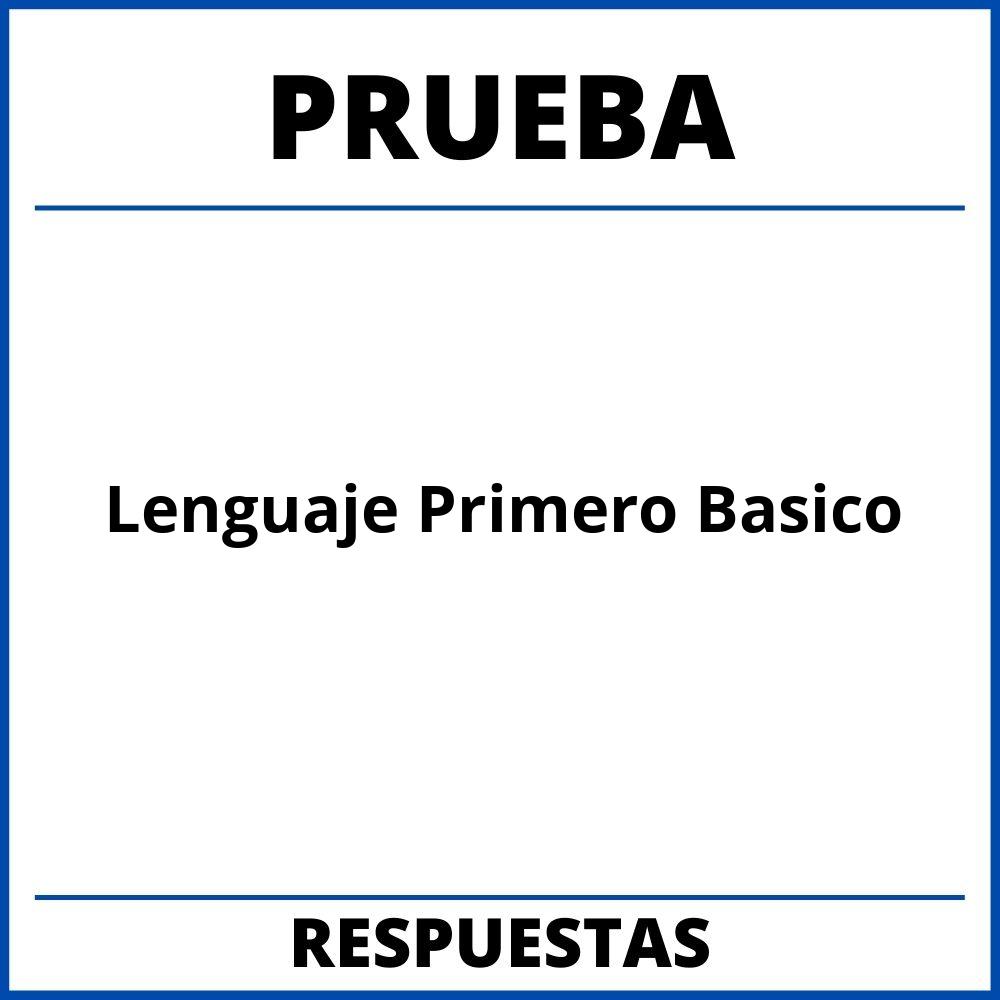 Prueba De Lenguaje Primero Basico Para Imprimir