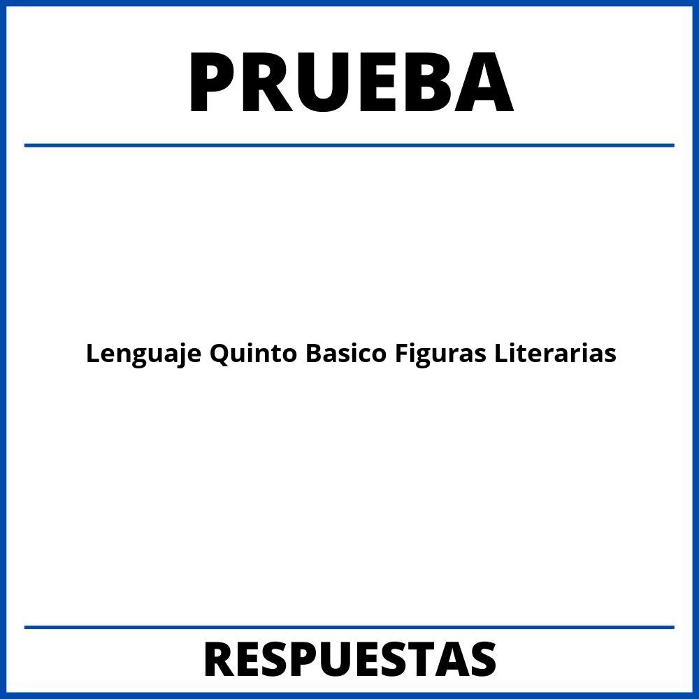 Prueba De Lenguaje Quinto Basico Figuras Literarias