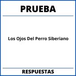 Prueba De Los Ojos Del Perro Siberiano