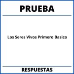 Prueba De Los Seres Vivos Primero Basico Para Imprimir