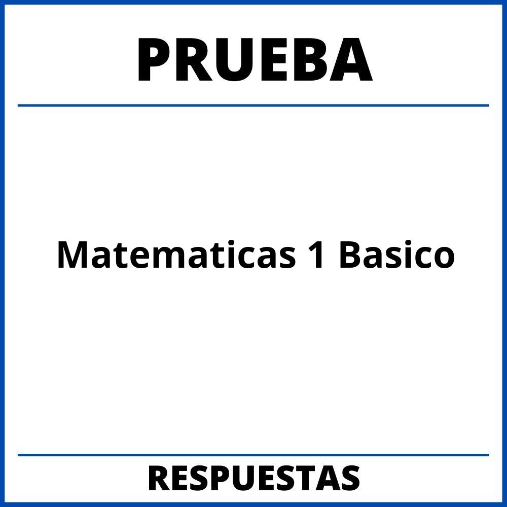 Prueba De Matematicas 1 Basico