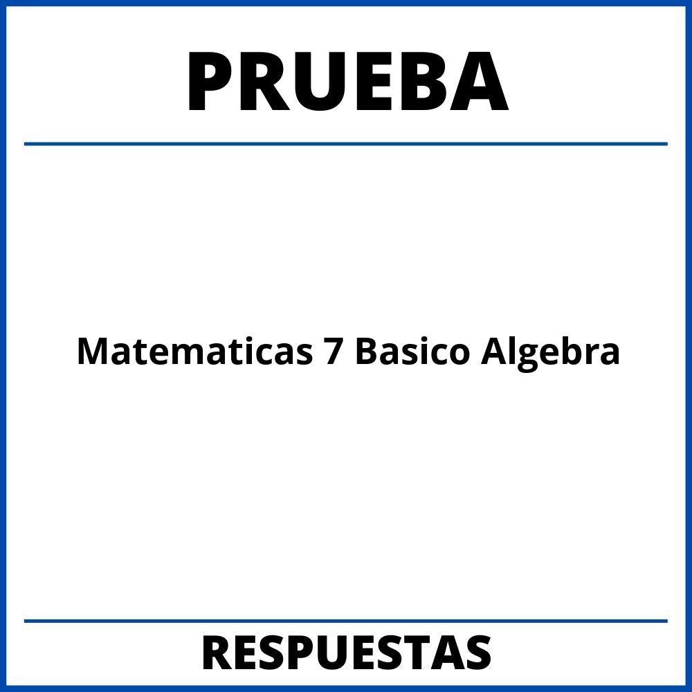 Prueba De Matematicas 7 Basico Algebra