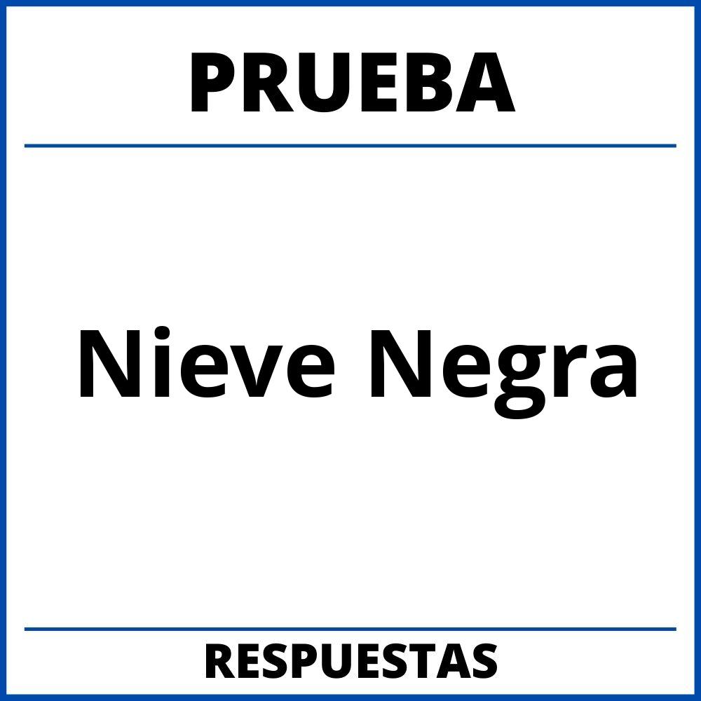 Prueba Del Libro Nieve Negra