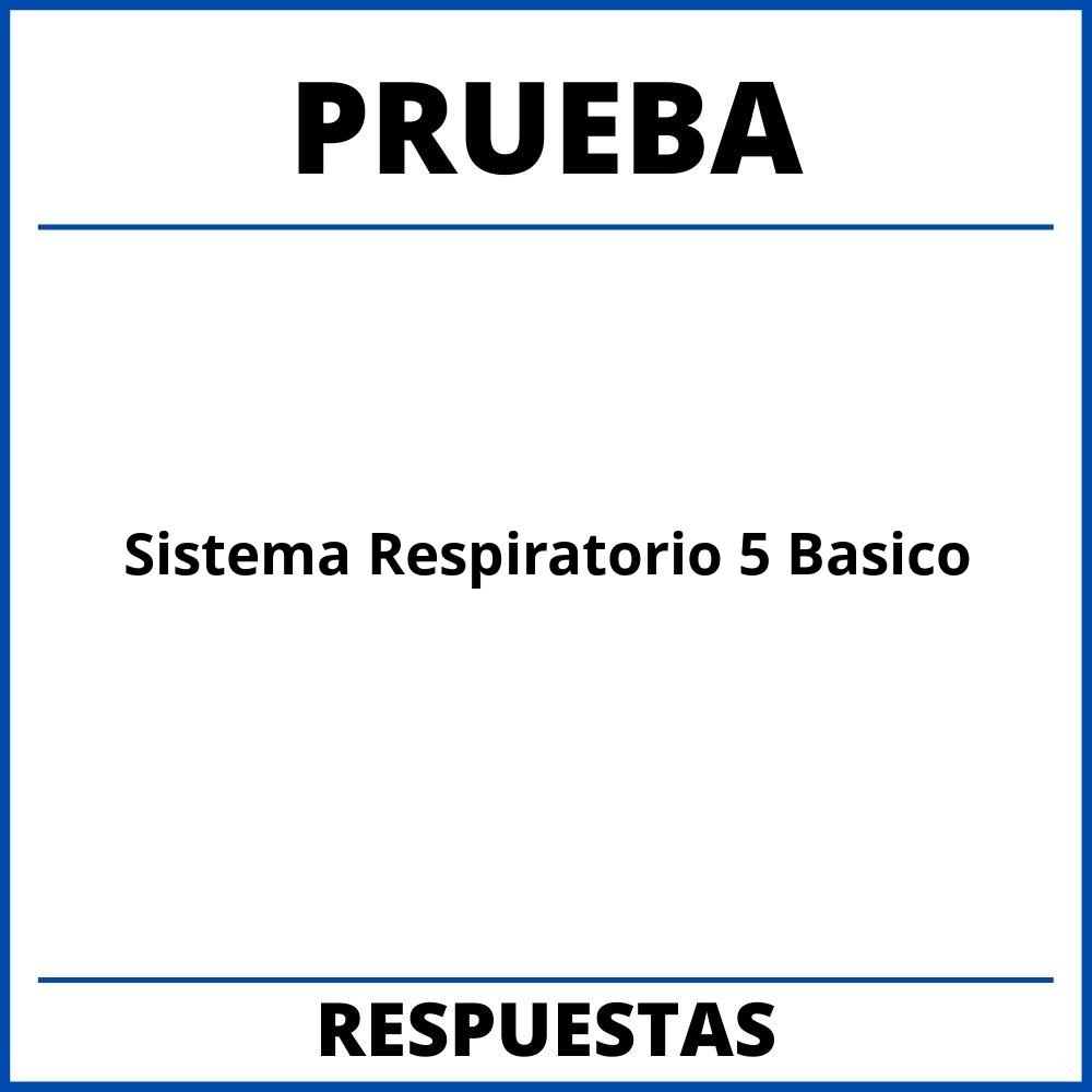 Prueba Sistema Respiratorio 5 Basico